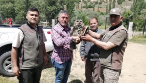 Yaralı puhu kuşu tedavi altına alındı