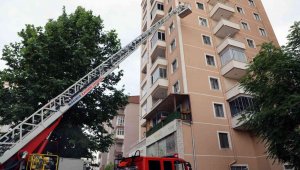 Arılar oğul verdi, belediye duvardan indirdi