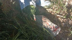 Asayiş Devriye Ekipleri 24 kilo Hint Keneviri ele geçirdi