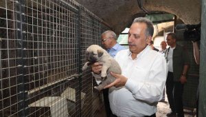 Başkan Yalçın, Patievinde minik dostlarla
