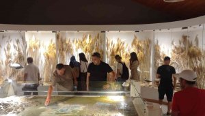 Bosnalı öğrenciler Sultan Sazlığı Milli Parkı'nı gezdi