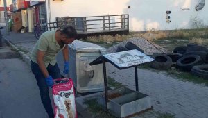 Tomarza'da sokak hayvanlarına yem bırakıldı