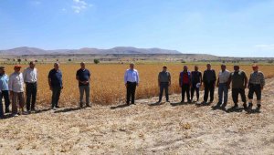 Başkan Dr. Palancıoğlu: "Bölge tarımına destek; Aspir tohumları hasat edilmeye başlandı"