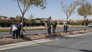 Büyükşehirden çim alan ve sulama sistemi çalışmaları