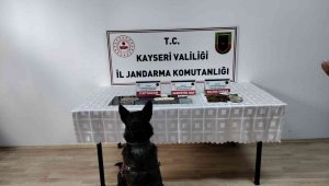 Jandarmadan uyuşturucu operasyonu: 1 gözaltı