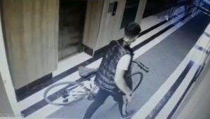 Ne buldularsa çaldılar