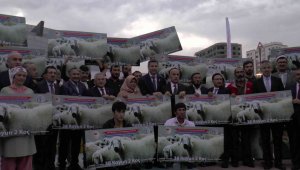 Bakan Kirişci: "Yaptığımız etkinliklerle Türkiye'de küçükbaş hayvancılık daha da gelişecek"