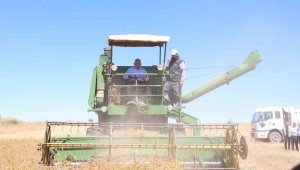 Büyükşehir'in tarım ve hayvancılığa destek tutarı 24 milyon TL'ye ulaştı