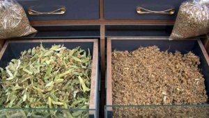 Derde deva ıhlamur 400 TL'ye satılıyor