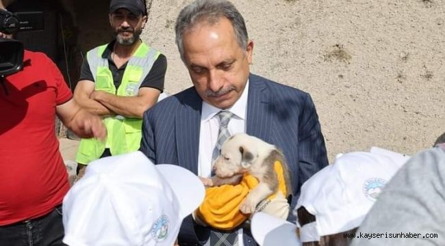 Hayvanları Koruma Günü'nde 'hayvan mezarlığı' müjdesi