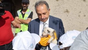 Hayvanları Koruma Günü'nde 'hayvan mezarlığı' müjdesi