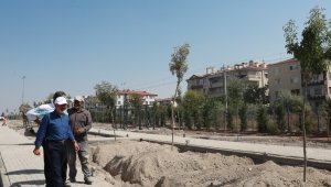 Kocasinan'dan 10 bin metrekarelik 'Küçük Dostlar Kedi Kasabası'