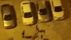 Köpeği çocukların üstüne saldı, korkan çocuk otomobilin üstüne çıktı