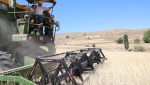 Çiftçi dostu Başkan Çolakbayrakdar'ın milli ve yerli tohum hamlesi takdir topladı