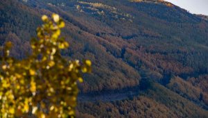 Ortaseki'de sonbahar güzelliği