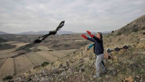 Tedavileri tamamlanan yaralı kuşlar özgürlüğe kanat çırptı