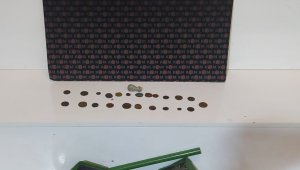 Tarihi eser kaçakçısı yakalandı