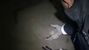 Çaldığı silahı toprağa gömmüş, paraları odunluğa saklamış