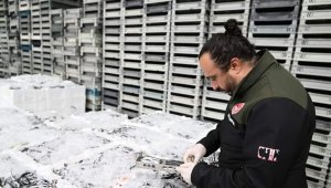 Kayseri'de eş zamanlı "balık" denetimi