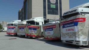 Bakan Kirişci: "Askerlerimiz nasıl yurdun bekçileriyse, çiftçilerimiz de tarım alanımızın bekçileridir"