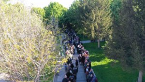 Domates fidesi alabilmek için uzun kuyruklar oluşturdular