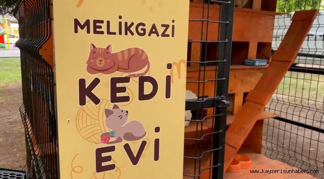 Melikgazi sokaklardaki can dostlar için kedi evleri yaptı