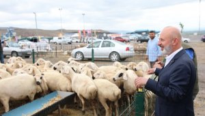 Kocasinan Belediyesi, 'kurban tatbikatı' yaptı