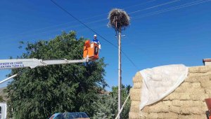 Ayağına ip bağlanan yavru leylek kurtarıldı