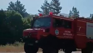 Büyükşehir İtfaiyesi, orman yangınlarını söndürmek için canla başla görev yaptı