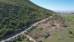 Daha Yeşil Bir Ali Dağı'na Doğru