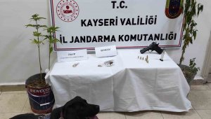 Kenevir Yetiştiren Şahıs Yakalandı