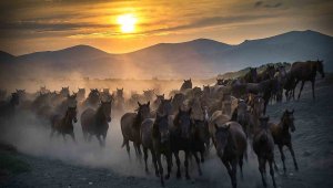 Başkan Büyükkılıç'tan Cumhurbaşkanı Erdoğan'a teşekkür, doğa tutkunlarına davet