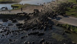 Bu güzellik 'kesin korunacak hassas alan' ilan edildi