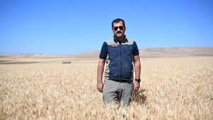 Kayseri'de yazlık buğday üretimi geleneği sürüyor