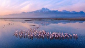 Cumhuriyetin 100. yılında Hacılar 3. Ulusal Fotoğraf Yarışması Sonuçlandı