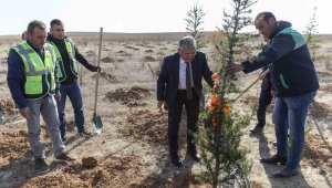 Başkan Büyükkılıç ile Kayseri'de 5 yılda 549 bin 735 adet ağaç ve çalı toprakla buluştu