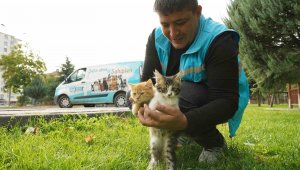 Daha temiz ve sağlıklı bir çevre için Melikgazi'de çalışmalar aralıksız devam ediyor