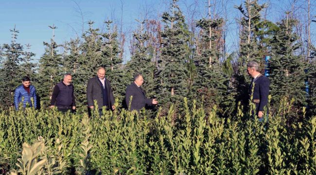 Başkan Yalçın: "Baharda farklı bir millet bahçesi bizi bekliyor"