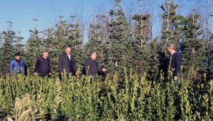 Başkan Yalçın: "Baharda farklı bir millet bahçesi bizi bekliyor"