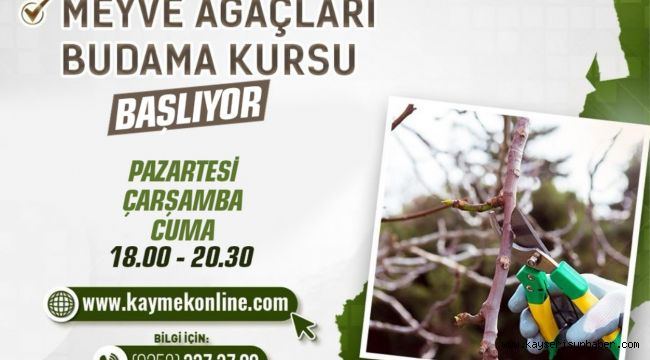 Büyükşehirden 'Meyve ağaçları budama kursu'