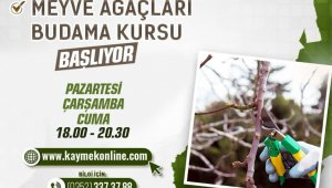 Büyükşehirden 'Meyve ağaçları budama kursu'