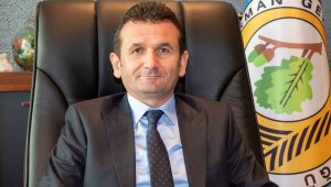 Erciyes balında kekik etkisi