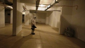 Kocasinan, yılın 12 ayında haşerelere karşı önlem alıyor