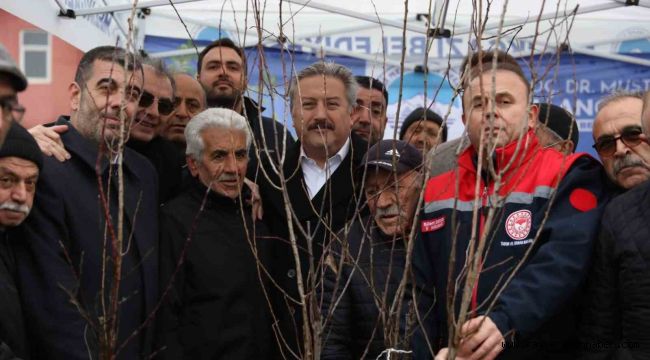 Melikgazi'de 535 bin metrekare meyve bahçesi olacak