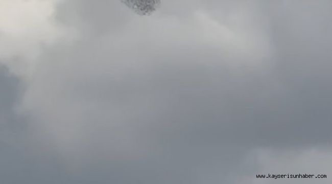 Sığırcıkların dansı büyüledi