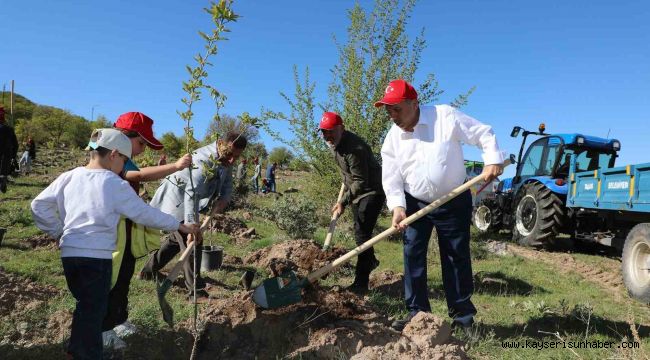 Talas'a 5 yılda 500 bin ağaç