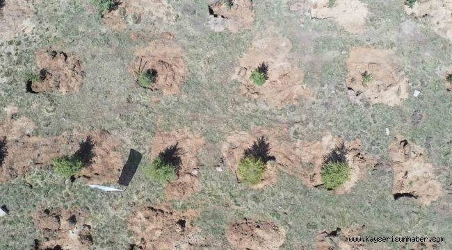 Bakanlık ve büyükşehrin yeşil projesi ile hava kirliliğinin azaltılması için önemli bir adım atıldı