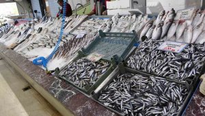 Balıkçılar geride kalan av sezonundan memnun