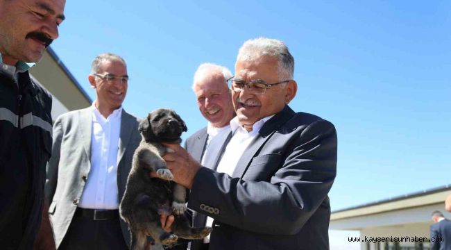 Başkan Büyükkılıç, dilsiz dostlara her daim sahip çıkıyor