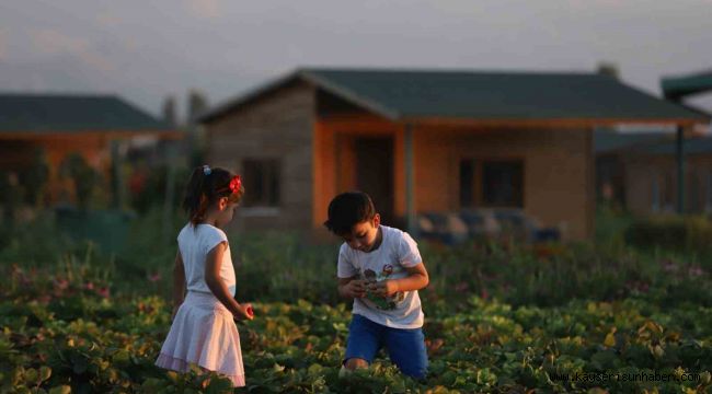 Büyükşehir'de 2 bin 543 adet hobi bahçesi için 22 bini aşkın başvuru